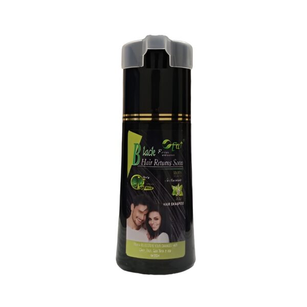 Quick and Easy Application - Black Hair Dye Shampoo