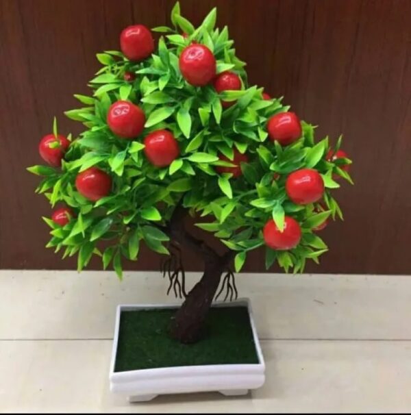 Beautiful Fruit Bonsai Tree for Home Decor - Image 2