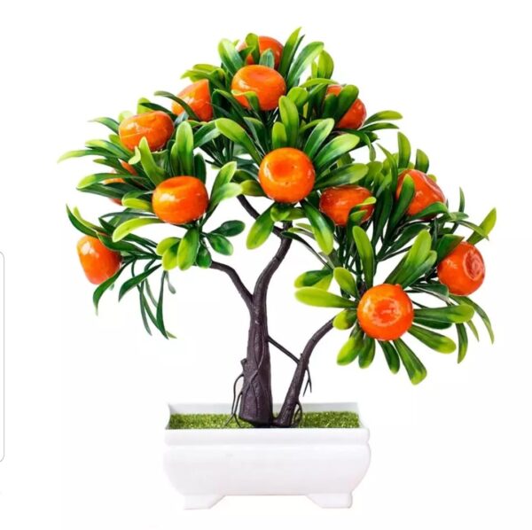 Beautiful Fruit Bonsai Tree for Home Decor - Image 5