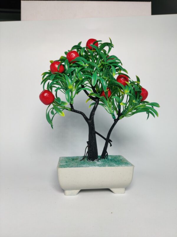 Beautiful Fruit Bonsai Tree for Home Decor - Image 6