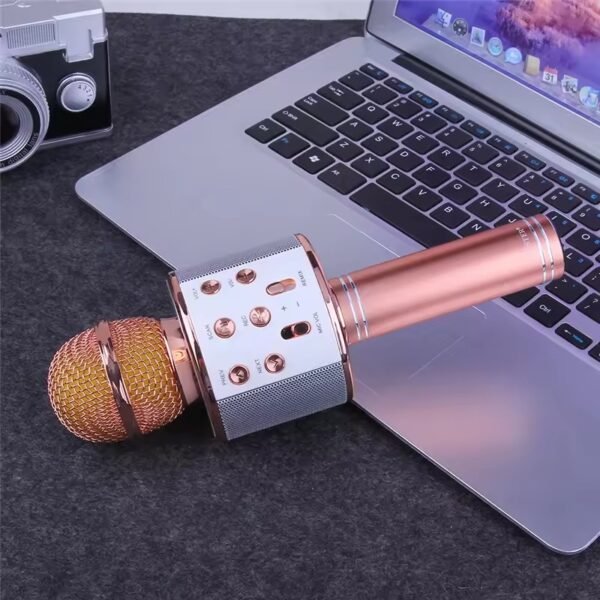 Microphone Loud Speaker for Speech Good for Kids & Students (random color)Ws-858