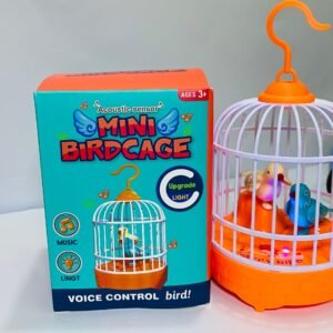 Musical light Bird cage with 2 birds beautiful toy for children's