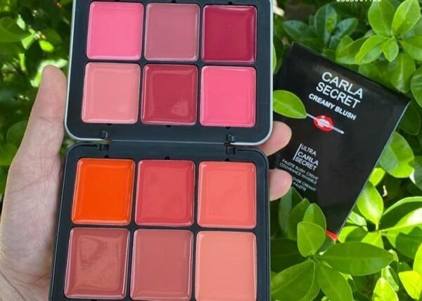 12 in 1 creamy blush lipstick palette - Image 2