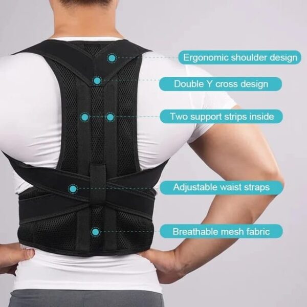 Back Posturm Spine Support Belt Adjustable Adult Corset Posture Correction Belt Body  Health Care ( casual size ) - Image 3