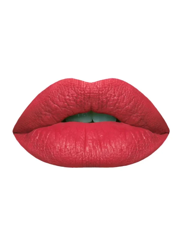 (Pack of 8) High Pigment Matte Lipgloss, - Image 2