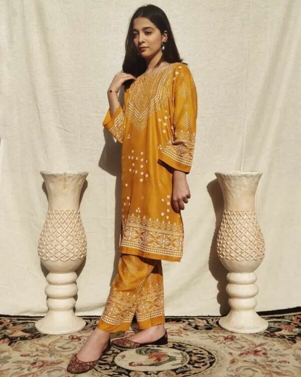 chunri print 2pc stitched suit Printed Dress shirt and trouser - Image 21